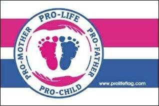Pro-life flag